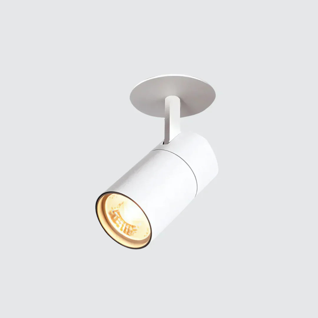 Iris Modern LED Ceiling Lamp | Stylish & Energy-Efficient