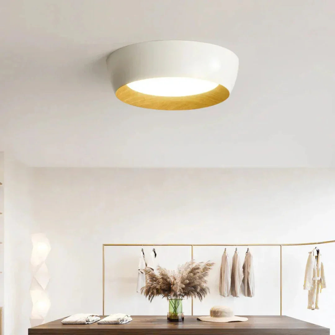 Glimm Scandinavian LED ceiling lamp