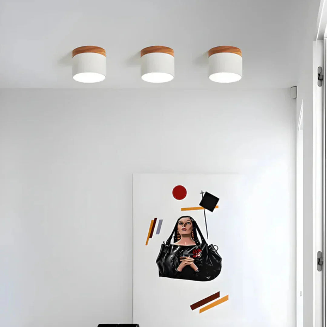 Vesta Vintage LED Ceiling Lamp