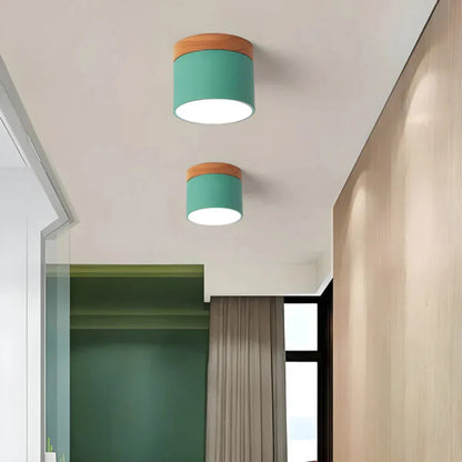 Vesta Vintage LED Ceiling Lamp