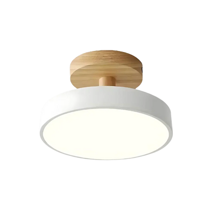 Soreia Compact Modern LED Ceiling Lamp