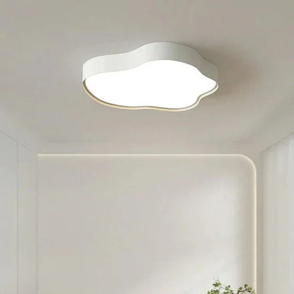 Pasiphae Stylish LED Ceiling Lamp