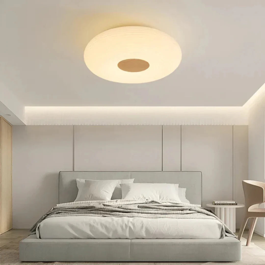 Tapion Modern LED Ceiling Lamp
