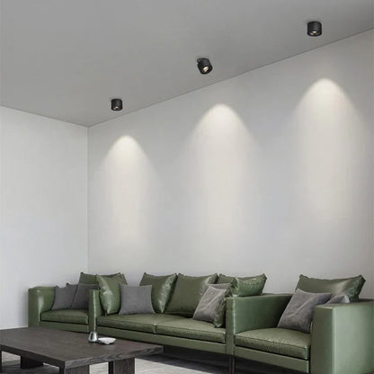 Alira Adjustable Cylinder Recessed LED Ceiling Lamp
