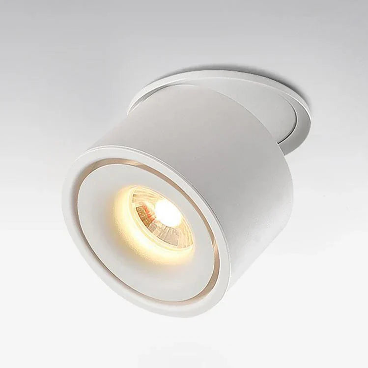 Alira Adjustable Cylinder Recessed LED Ceiling Lamp