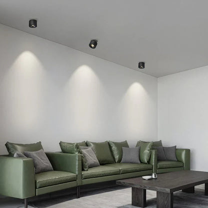 Alira Adjustable Cylinder Recessed LED Ceiling Lamp