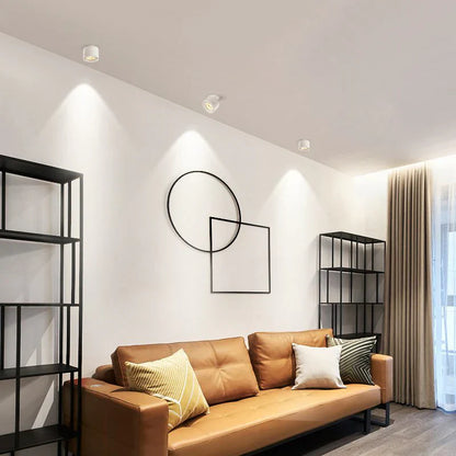 Alira Adjustable Cylinder Recessed LED Ceiling Lamp