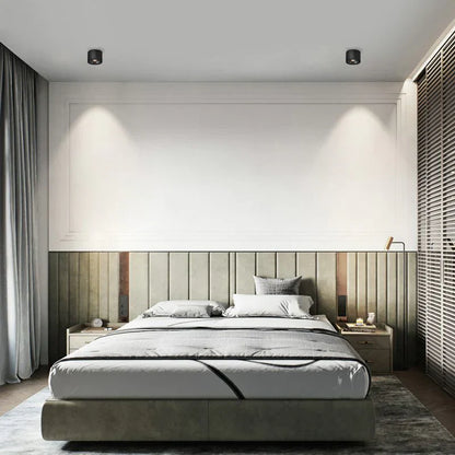 Alira Adjustable Cylinder Recessed LED Ceiling Lamp
