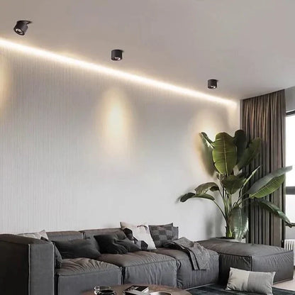 Alira Adjustable Cylinder Recessed LED Ceiling Lamp