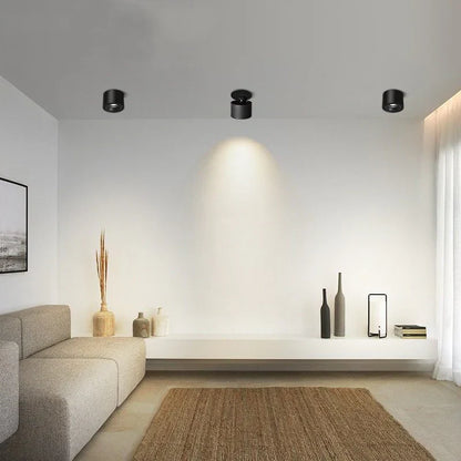 Alira Adjustable Cylinder Recessed LED Ceiling Lamp