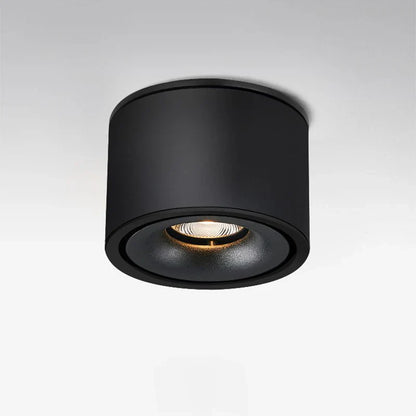 Alira Adjustable Cylinder Recessed LED Ceiling Lamp