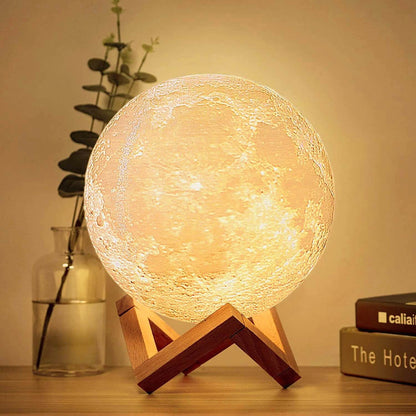 Twinkling Tree Moon Lamp by Casa Solaro™