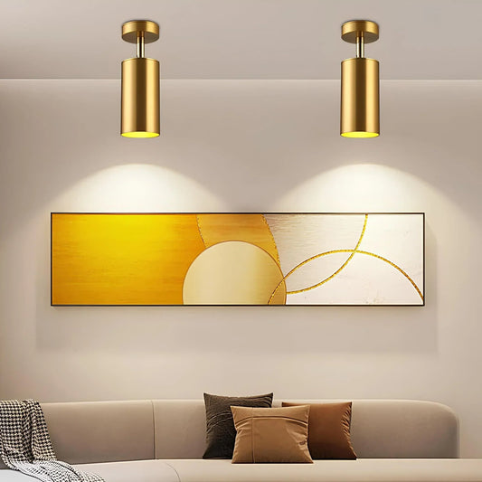 Olenia Adjustable Modern LED Ceiling Lamp with Rotating Arms